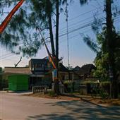 Trộ