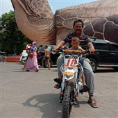 Tỷ 