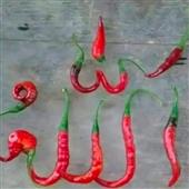 Đại