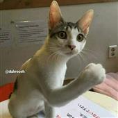 Tỷ 
