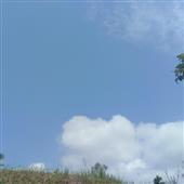 Chú