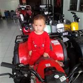 Dự 