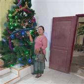 Giả