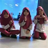 Dự 