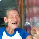 Giả