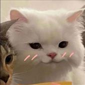 Đài