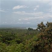 Luậ