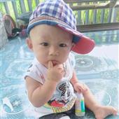 Bản