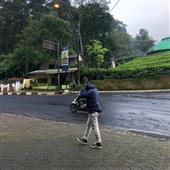 Quả