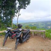 Trự