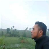 Hải