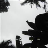 tiệ