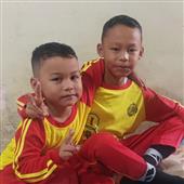 Giả