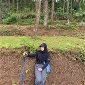 Fir