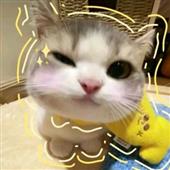 Giả