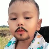 GẤU