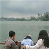 khỉ
