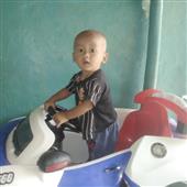 Chỉ