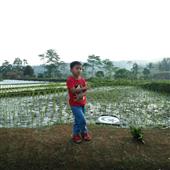 Mạt