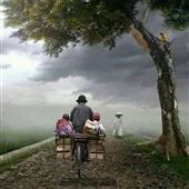 Báo