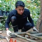 nữ 