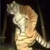 Chơ