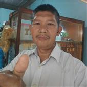 Giả