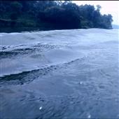 Cơn