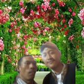 Xem