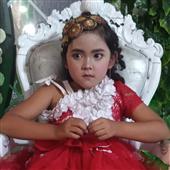 Vàn