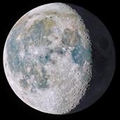 Anh