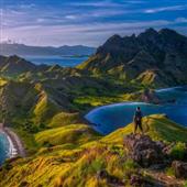 Trự