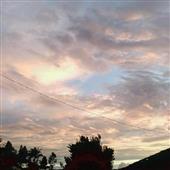 Cuộ