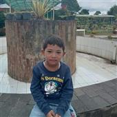 Bes