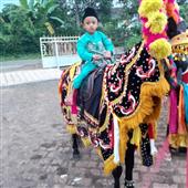 Giả