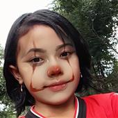 Máy