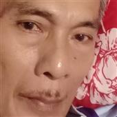 Giả