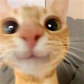 Bộ 