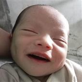 Giả