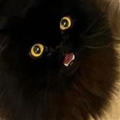 Lon