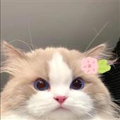 Quy