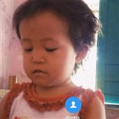 หมู