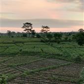 Lễ 