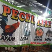 Đán