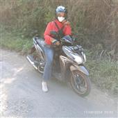 Bản