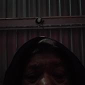 Fir