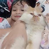 Kết