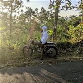 Đội