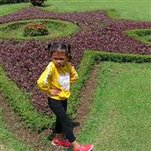 Sự 