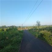 Bản